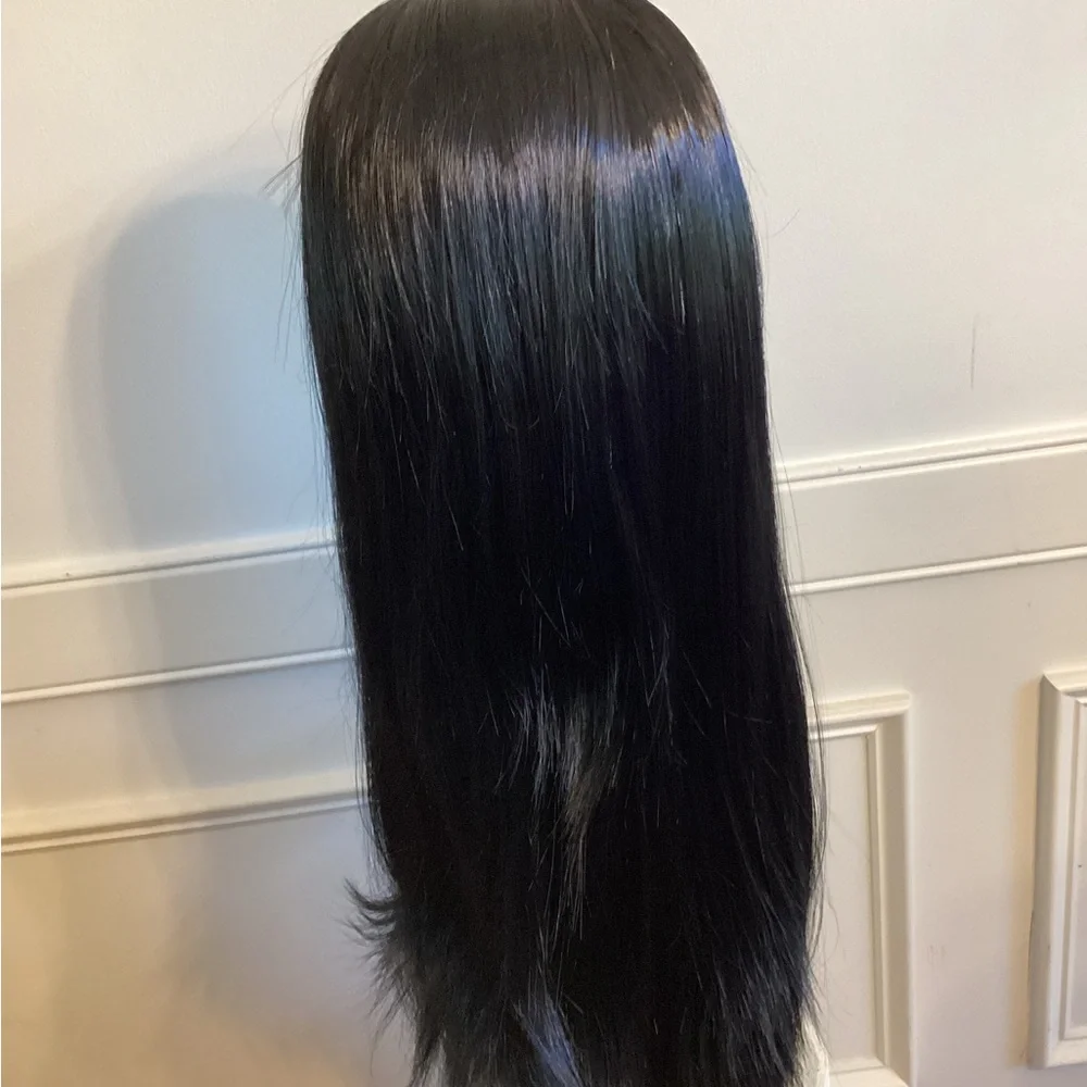 Sleek Black Synthetic Wig (~ 24 - 26 inch) NWOT
